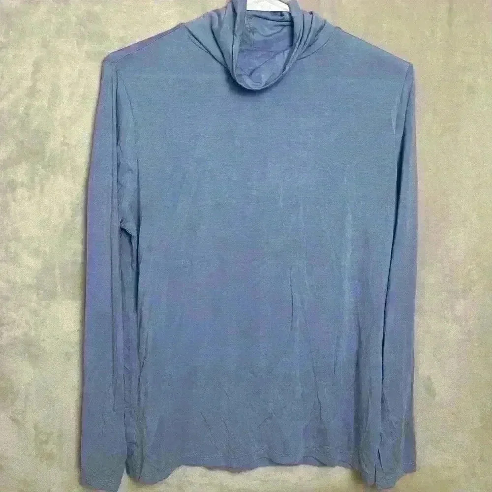 Turtle Neck Womens Blouse Ann Taylor Business Casual